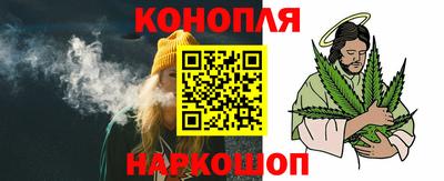 гидра Краснознаменск