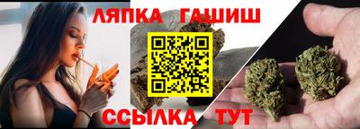 гидра Краснознаменск