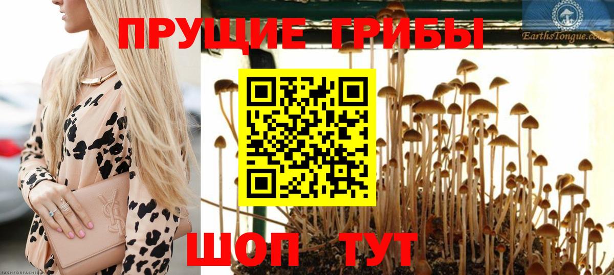 Электросталь  Галлюциногенные грибы ЛСД  Вход с VPN 
