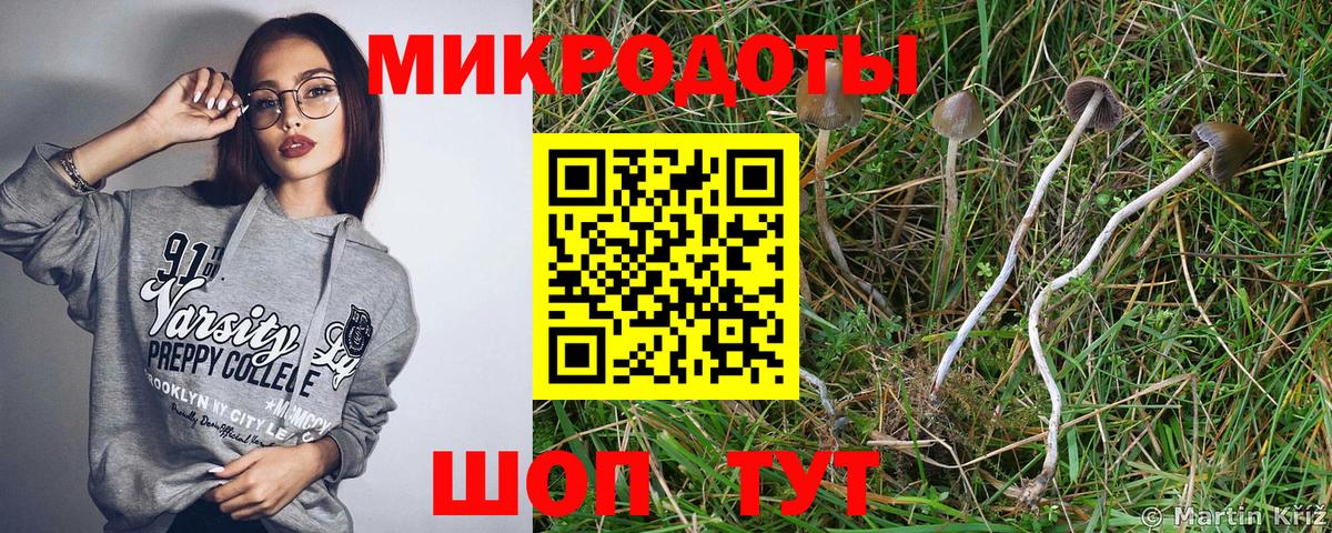 Псилоцибиновые грибы Magic Shrooms Электросталь